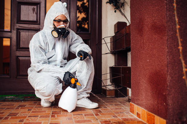 Attic and Crawl Space Rodent Treatment in Marcus Hook