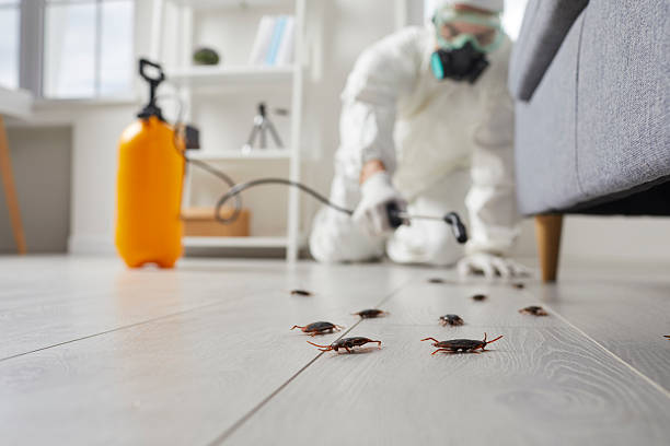 Commercial Rodent Management in Marcus Hook